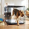 Frisco Heavy Duty Fold & Carry Double Door Collapsible Wire Dog Crate, XL: 48-in L x 30-in W 32-in H
