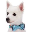Show in main carousel: Blueberry Pet Handmade Go for Fun Dog & Cat Bow Tie Set in Gift Box, 2 count slide 2 of 9