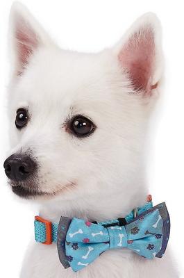 Show full view: Blueberry Pet Handmade Go for Fun Dog & Cat Bow Tie Set in Gift Box, 2 count slide 2 of 9