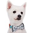 Show in main carousel: Blueberry Pet Handmade Go for Fun Dog & Cat Bow Tie Set in Gift Box, 2 count slide 3 of 9