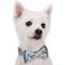 Show in main carousel: Blueberry Pet Handmade Go for Fun Dog & Cat Bow Tie Set in Gift Box, 2 count slide 3 of 9