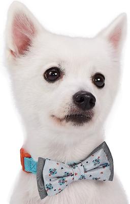Show full view: Blueberry Pet Handmade Go for Fun Dog & Cat Bow Tie Set in Gift Box, 2 count slide 3 of 9