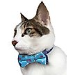 Show in main carousel: Blueberry Pet Handmade Go for Fun Dog & Cat Bow Tie Set in Gift Box, 2 count slide 4 of 9