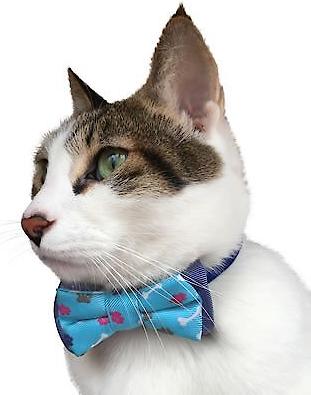 Show full view: Blueberry Pet Handmade Go for Fun Dog & Cat Bow Tie Set in Gift Box, 2 count slide 4 of 9