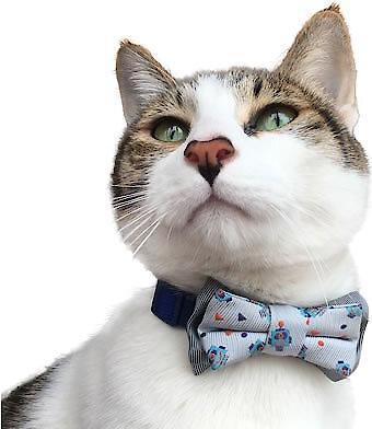 Show full view: Blueberry Pet Handmade Go for Fun Dog & Cat Bow Tie Set in Gift Box, 2 count slide 5 of 9