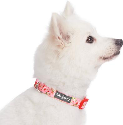 Show full view: Blueberry Pet Floral Prints Polyester Dog Collar, Floral Rose Baby Pink, Large: 18 to 26-in neck, 1-in wide slide 3 of 9