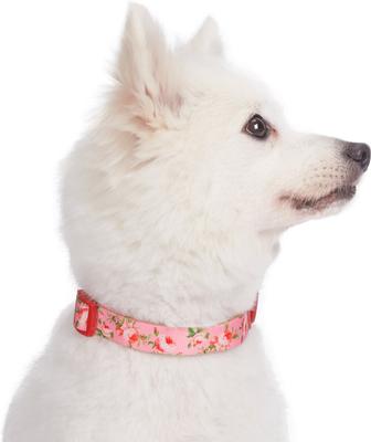 Show full view: Blueberry Pet Floral Prints Polyester Dog Collar, Floral Rose Baby Pink, Large: 18 to 26-in neck, 1-in wide slide 4 of 9