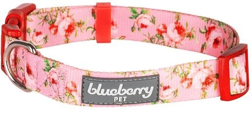 Blueberry Pet Floral Prints Polyester Dog Collar, Floral Rose Baby Pink, X-Small: 7.5 to 10-in neck, 3/8-in wide