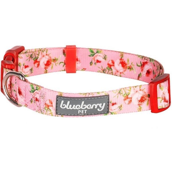 PINK PAPYRUS Spring Floral Polyester Dog Collar, X-Small: 8 to 12-in ...