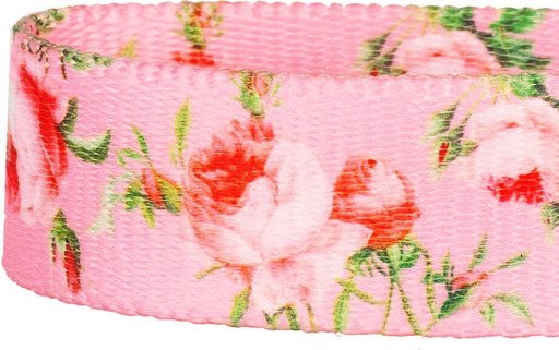 Blueberry Pet Floral Prints Polyester Dog Collar, Floral Rose Baby Pink, X-Small: 7.5 to 10-in neck, 3/8-in wide