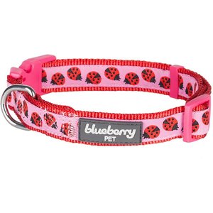 Blueberry Pet Spring Prints Nylon Dog Collar, Ladybug, Small: 12 to 16-in neck, 5/8-in wide