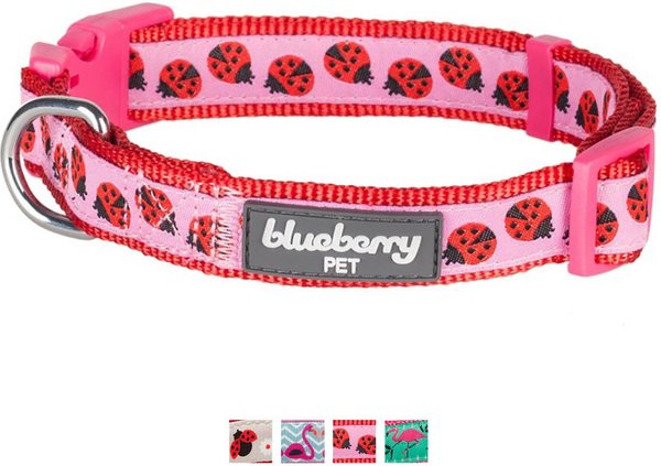 Blueberry Pet Spring Prints Nylon Dog Collar, Ladybug, Medium: 14.5 to 20-in neck, 3/4-in wide slide 1 of 7