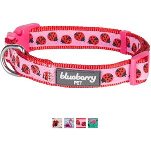 Blueberry Pet Spring Prints Nylon Dog Collar, Ladybug, Medium: 14.5 to 20-in neck, 3/4-in wide