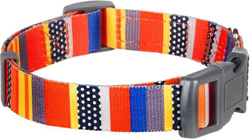 Show full view: Blueberry Pet Nautical Prints Polyester Dog Collar, Nautical Flags, X-Small: 7.5 to 10-in neck, 3/8-in wide slide 2 of 6