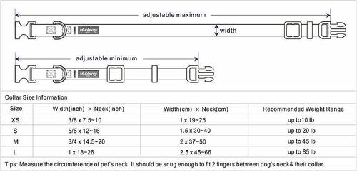 Show full view: Blueberry Pet Nautical Prints Polyester Dog Collar, Nautical Flags, X-Small: 7.5 to 10-in neck, 3/8-in wide slide 4 of 6