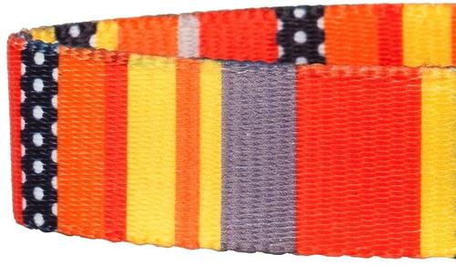 Show full view: Blueberry Pet Nautical Prints Polyester Dog Collar, Nautical Flags, Small: 12 to 16-in neck, 5/8-in wide slide 3 of 6