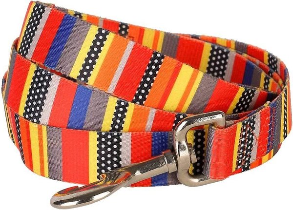 Blueberry Pet Patterned Polyester Dog Leash, Nautical Flags, Large: 4-ft long, 1-in wide slide 1 of 5
