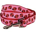 Ladybug