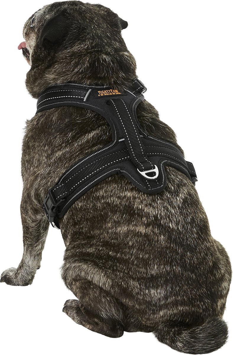 Mighty paw dog outlet harness