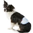 Discontinued - ALFIE PET Belly Band Washable Male Dog Wraps, Gaki ...