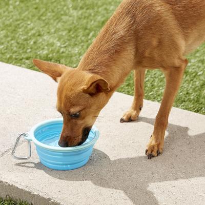 Show full view: Prima Pets Collapsible Travel Bowl with Carabiner, Small, Aqua slide 3 of 9