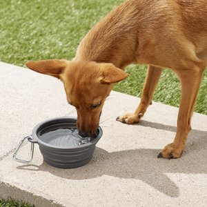 Prima Pets Collapsible Silicone Travel Dog & Cat Bowl with Carabiner, Small, Grey