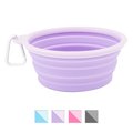 Prima Pets Collapsible Silicone Travel Dog & Cat Bowl with Carabiner, Large, Purple