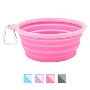 Prima Pets Collapsible Silicone Travel Dog & Cat Bowl with Carabiner, Large, Pink