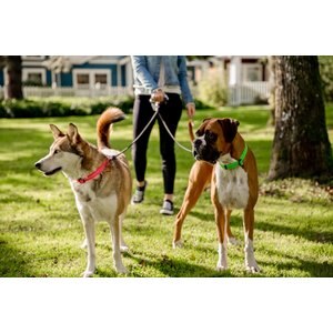 Wigzi Dual Doggie Gel Rope Dog Leash, Small: 4.5-ft long