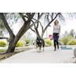 Dual Doggie Doppel Roll-Leine mit Gelgriff von Wigzi günstig bestellen