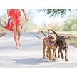 WIGZI Dual Doggie (2 honden) Intrekbare lijn met licht (L.E.D), geen wirwar, 360