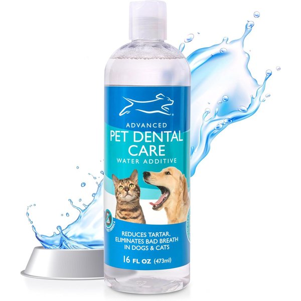 OXYFRESH Premium Pet Care Solution Cat & Dog Dental Water Additive, 16 ...