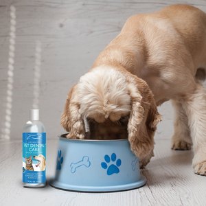 Emmy's Best Pet Products Advanced Pet Dental Care Dog & Cat Dental Water Additive, 16-oz bottle
