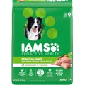 Iams Proactive Health MiniChunks Small Kibble Adult Chicken & Whole Grain Dry Dog Food, 40-lb bag