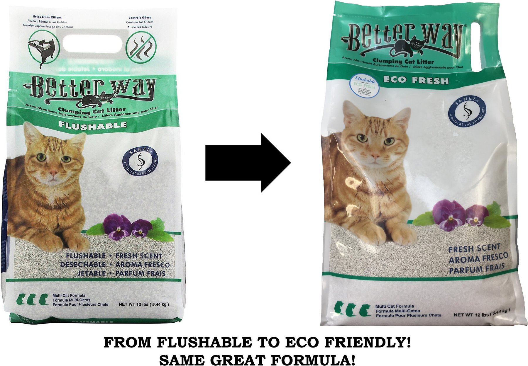 better way eco fresh clumping cat litter