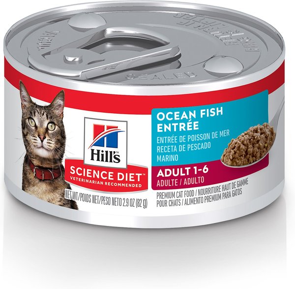 Wet cat food outlet without fish