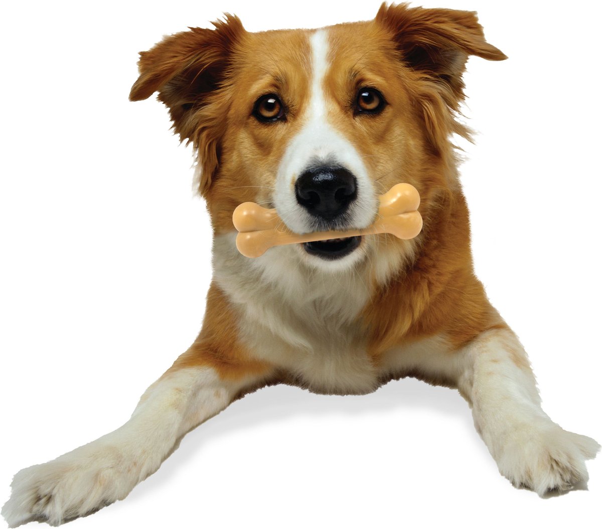 NYLABONE Power Chew Peanut Butter Flavored Dog Chew Toy, Medium