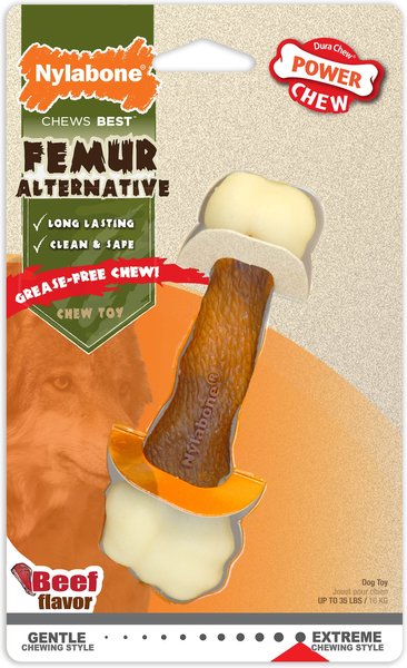 Nylabone Femur Bone Rawhide Alternative Power Chew Durable Dog Toy, Femur Beef, Medium  slide 1 of 11