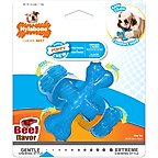 Nylabone Puppy Chew X Bone Chew Toy Blue, Small 