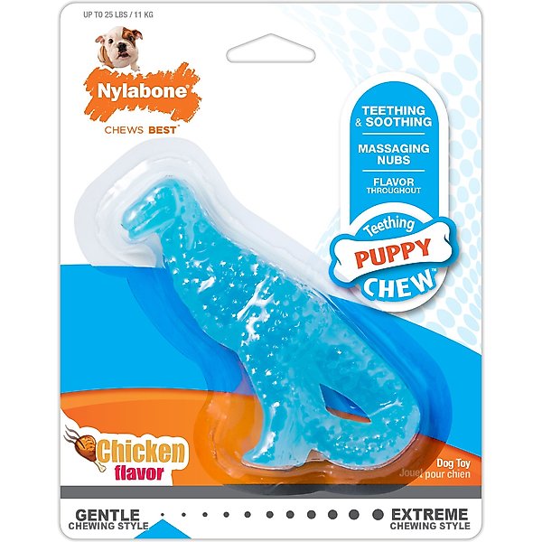 JW PET Play Place Butterfly Puppy Teether, Color Varies - Chewy.com