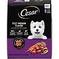 Cesar Filet Mignon Flavor & Spring Vegetables Garnish Small Breed Dry Dog Food, 12-lb bag
