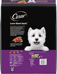 Cesar Filet Mignon Flavor & Spring Vegetables Garnish Small Breed Dry Dog Food, 12-lb bag slide 2 of 9