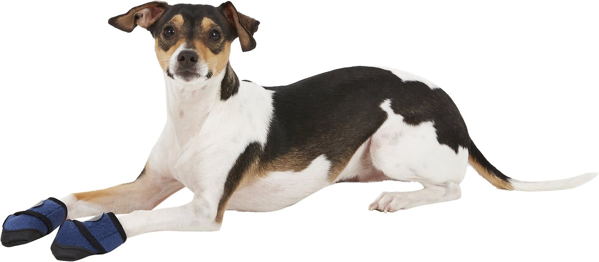 HEALERS Booties & Gauze Inserts for Dogs, XSmall