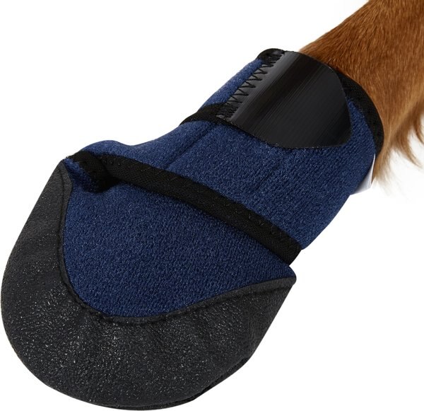 dog boots chewy