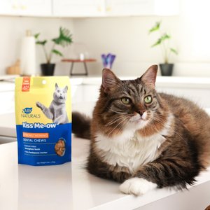 Ark Naturals Kiss Me-Ow Strengthening Tuna Dental Chews Crunchy Cat Treats, 6-oz bag