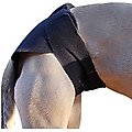 Healers Rear Anxiety Vest for Dogs, Medium