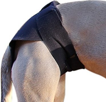 Healers Rear Anxiety Vest for Dogs, Large slide 1 of 4
