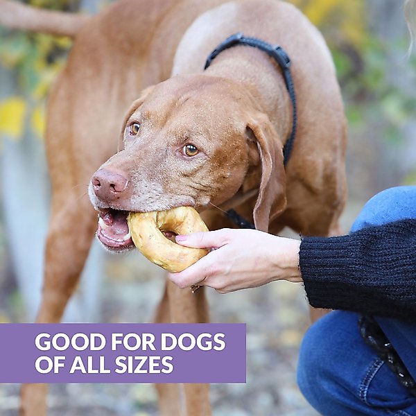 Discontinued - WILD EATS Collagen Bagel Adult Duck Flavored Dog Treats ...