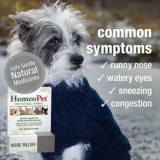 HomeoPet Nose Relief Homeopathic Medicine for Allergies & Respiratory Infections for Birds, Cats, Dogs & Small Pets, 450 drops