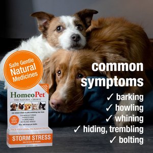 HomeoPet Storm Stress for Pets 20-80lbs, 450 drops